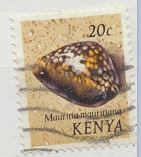 [Seashells, type AM]
