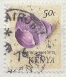 [Shells - Issues of 1971 With Corrected Inscriptions, 유형 AP1]