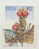 [Flora - Protea Plants, type PW]