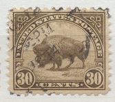 [Bisonte., tipo FH1]