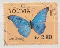 [Butterflies, type OL]