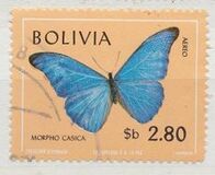 [Butterflies, type OL]