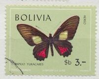 [Butterflies, type OM]