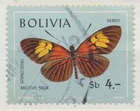 [Butterflies, type ON]