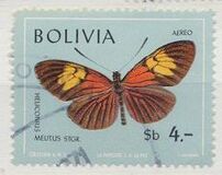 [Butterflies, Tipe ON]