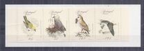 [Rare Birds, סוג BV]