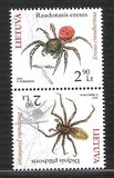[Fauna - Spiders, Typ ABV]