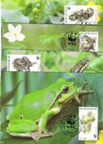 [World Wildlife Foundation, Вид CHN]