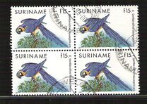 [Fauna - Birds, type BEN]