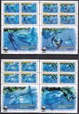 [WWF - Ocean Sunfish, 유형 RD]
