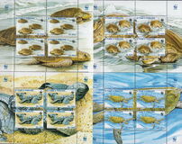 [Worldwide Nature Protection - Olive Ridley Sea Turtle, Scrivi BAR]