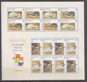 [Endangered Species - Bird Conservation, type YQ]