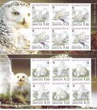[Snow Owls, tip JG]