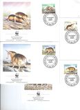 [The Haitian Solenodon, type AQZ]