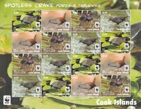 [WWF - Spotless Crake, type ATI1]