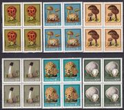 [Protected Poisonous Mushrooms, タイプ CHV]