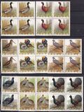[Bird Game, Typ BGU]