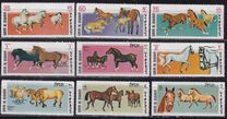 [Airmail - Horse Breeds, Tip LG]