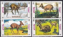 [Siberian Musk Deer, typ BWE]