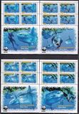 [WWF - Ocean Sunfish, 유형 RD]