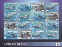 [Endangered Species - Short-finned Pilot Whale, प्रकार AFF]