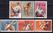 [Animals from Antwerp zoo, Tipi ZL]