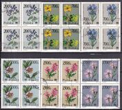 [Protected Plants and Flowers from the Botanical Gardens of Warsaw University, type DDM]