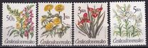 [Flowers, type CQN]