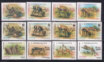 [Global Conservation of Endangered Wildlife, tip PS]