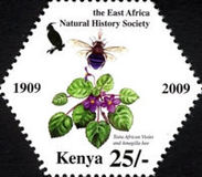 [East Africa Natural History Society, τύπος AEW]