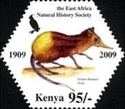 [East Africa Natural History Society, τύπος AEZ]