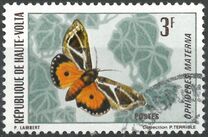 [Butterflies, type JA]