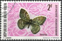 [Butterflies, type IZ]