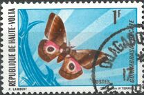 [Butterflies, type IY]