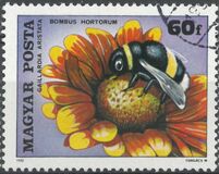 [Insects Polinating Flowers, タイプ DUD]