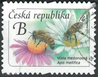 [Definitive - Honey Bee, type ANV]