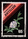 [Flowering Plants, type XC]