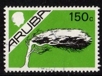 [Buildings, Animals and Life on Aruba, type K]