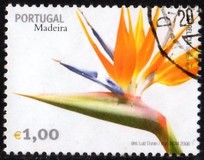 [Madeira Flowers, Tip HY]