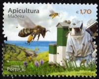 [Beekeeping, Tipi KW]