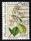 [Medical Herbs, typ FD]