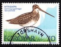 [Bird Life, Scrivi Q]