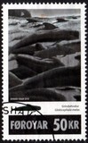[Long-finned Pilot Whale, type YU]