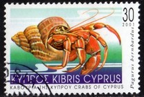 [Hermit Crabs, type AEE]
