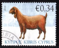 [Fauna - Domestic Animals, тып ALT]