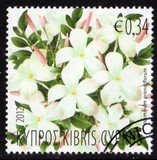 [Flora - Plants, タイプ ANZ]