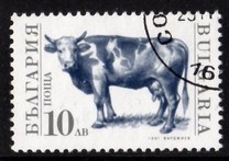 [Domestic Animals, タイプ EKL]