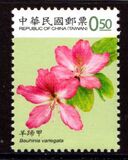 [Flowers, प्रकार DHV]
