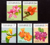 [Flowers, type DGP]