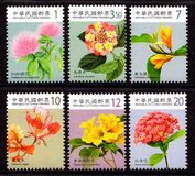 [Flowers, type DGP]